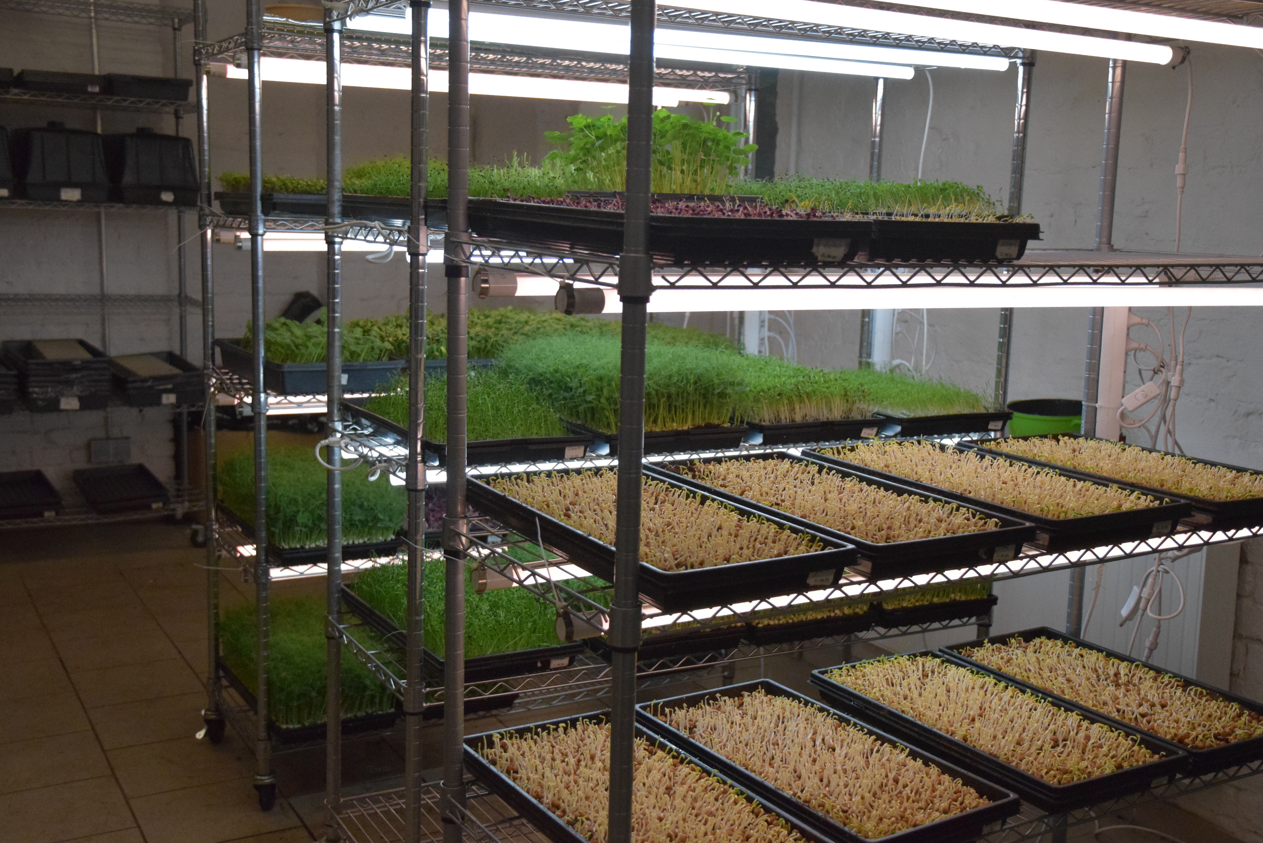 Mehretagige Anbauregale