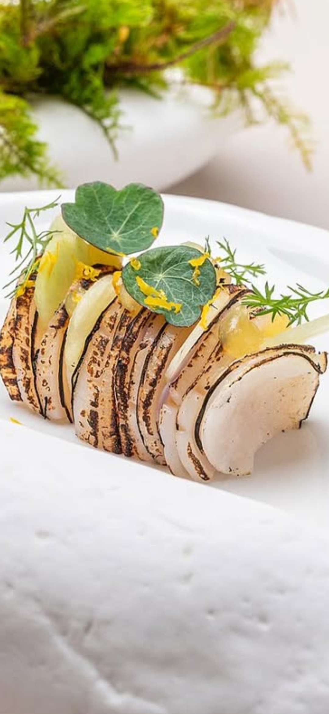 Microgreens als Garnitur auf professionellem Teller