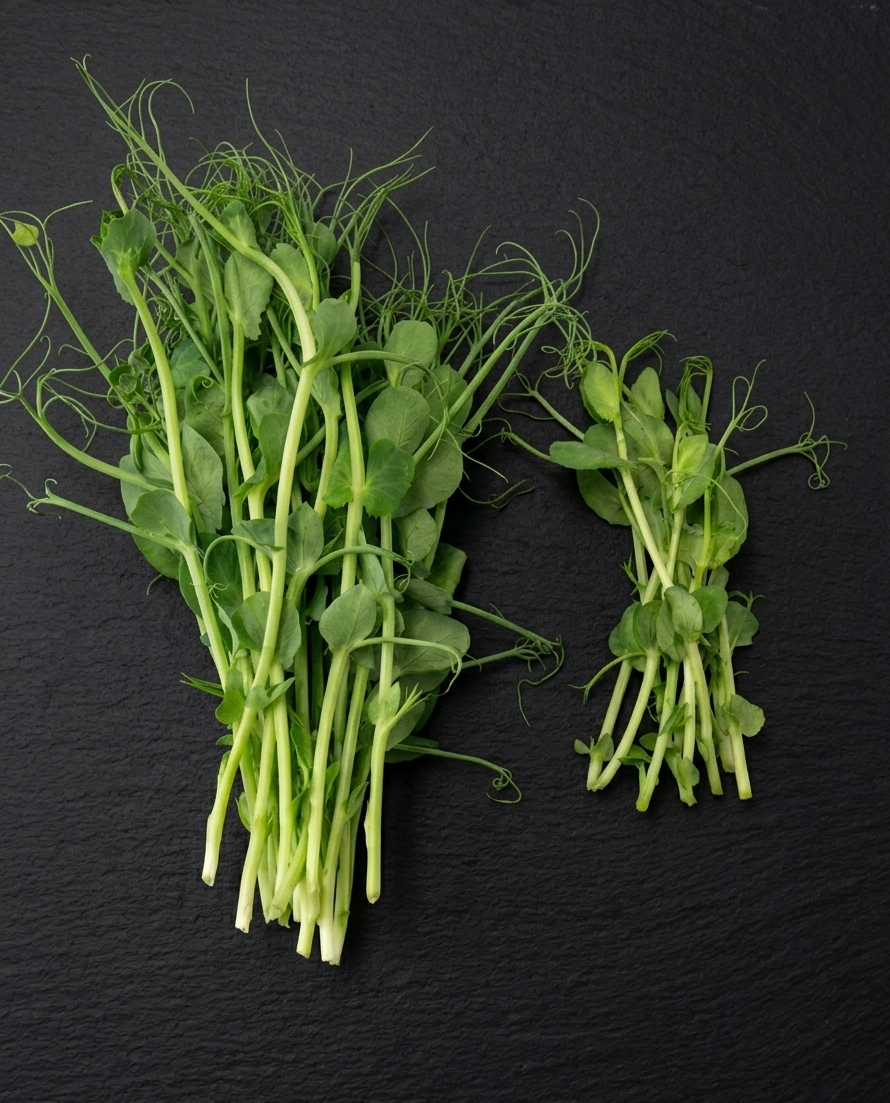 Belarro vs. Import Erbsensprossen auf dunklem Schiefer